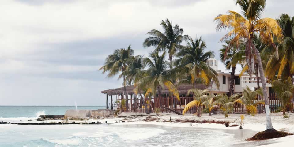 Boca unidos